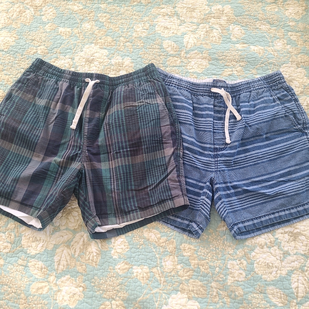 Set of 2 J. Crew Dock Shorts